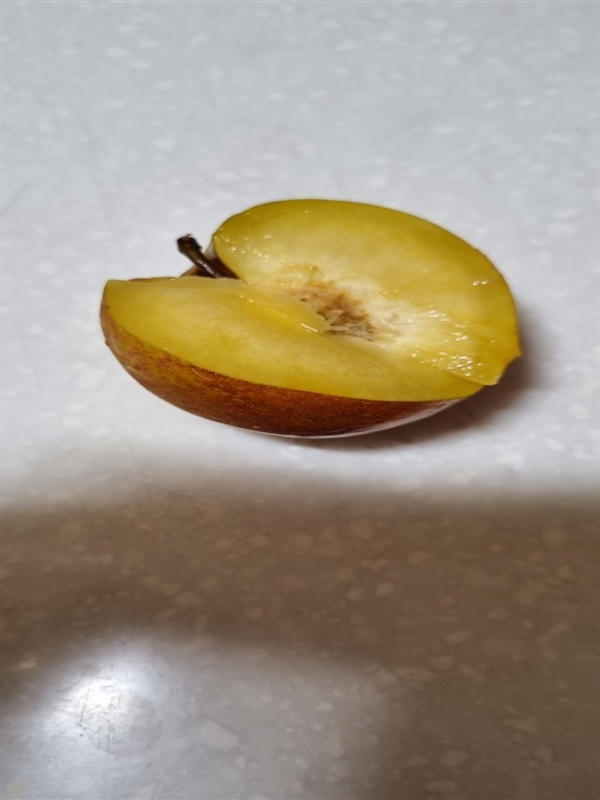 20220820_152931.jpg